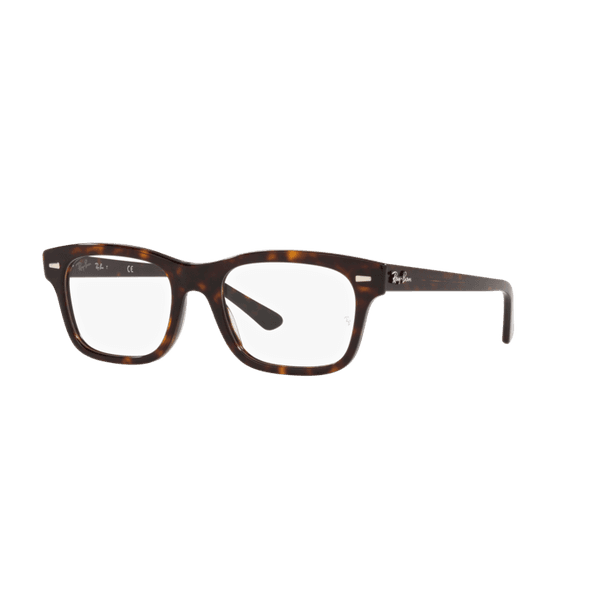 ARMAÇÃO RAY BAN MR BURBANK 5383 2012 54