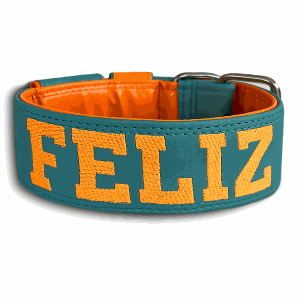 COLEIRA PERSONALIZADA 5cm tiffany/laranja com nome em laranja fluorescente