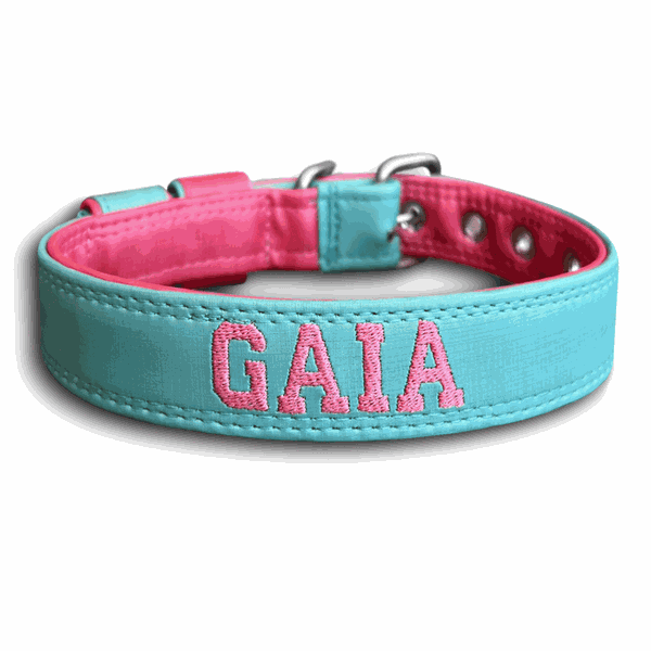 COLEIRA BABY PERSONALIZADA 3cm azul tiffany/rosa com nome em rosa