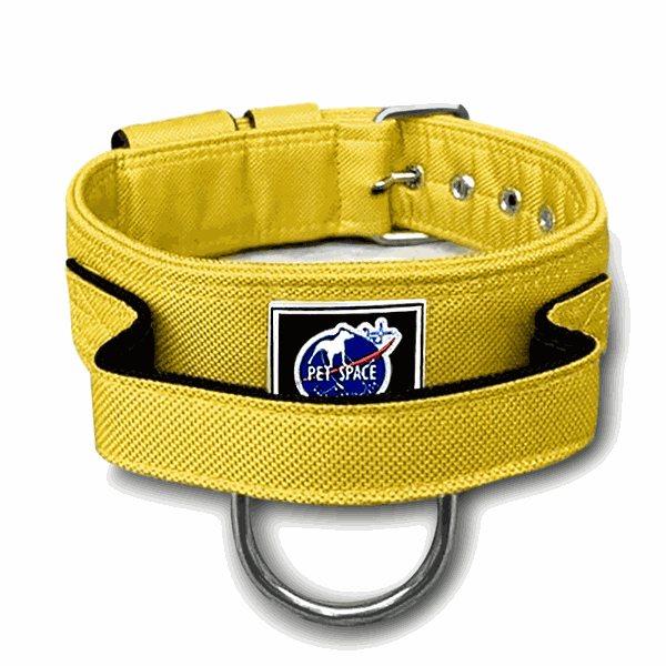 COLEIRA TÁTICA 5cm COM ALÇA amarelo