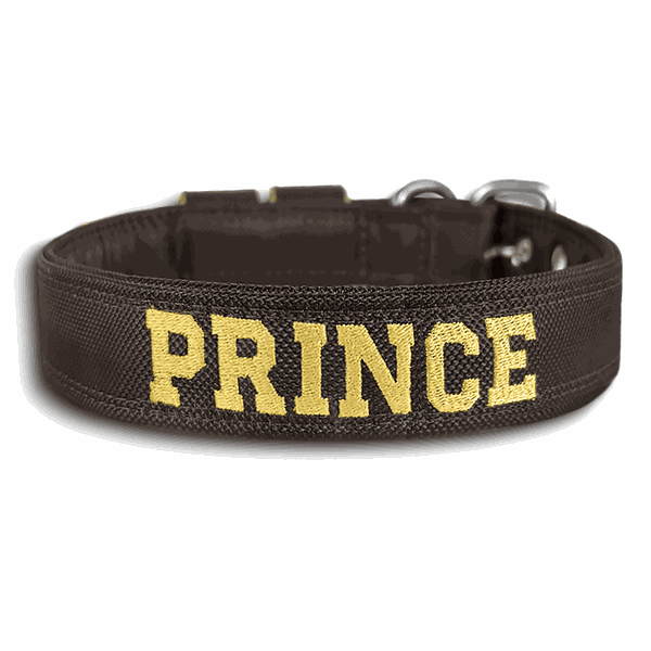 COLEIRA BABY PERSONALIZADA 3cm marrom com nome em dourado