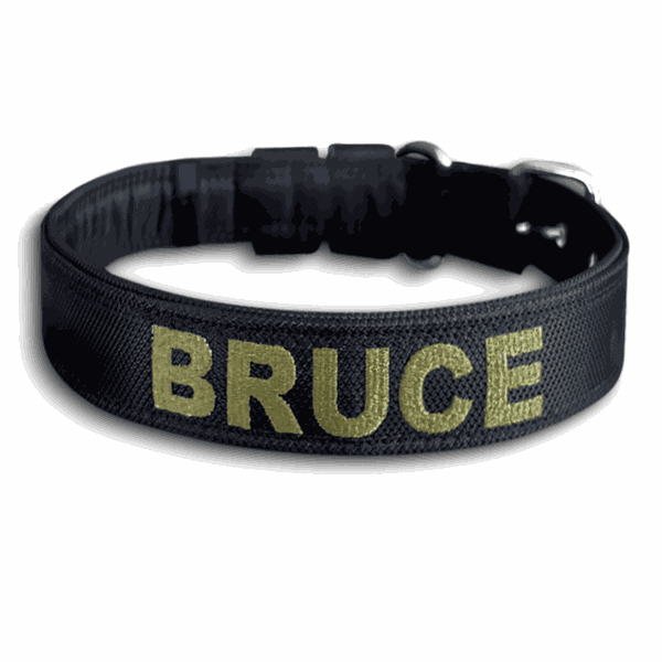 COLEIRA BABY PERSONALIZADA 3cm preta com nome em verde militar