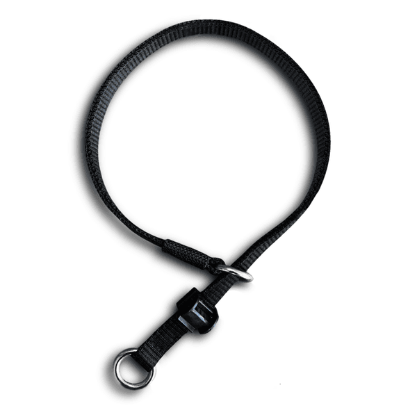 Colar Enforcador com Regulador 15mm de larfgura