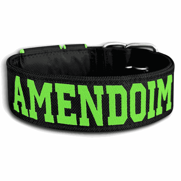 COLEIRA PERSONALIZADA 5cm preta com nome em verde fluorescente