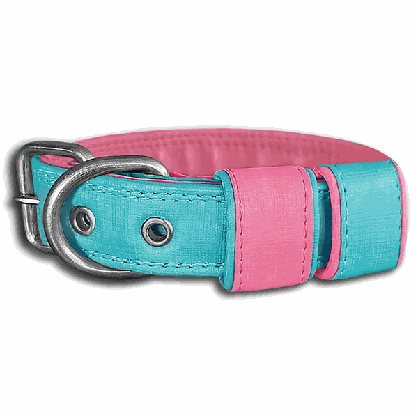 COLEIRA BABY LISA 3cm azul tiffany/rosa