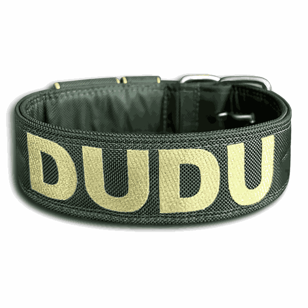 COLEIRA PERSONALIZADA 5cm verde militar com nome em dourado