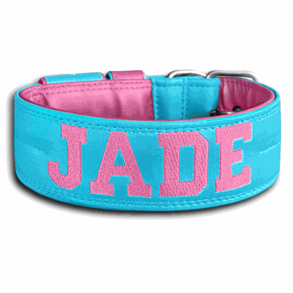 COLEIRA PERSONALIZADA 5cm azul tiffany/rosa com nome em rosa
