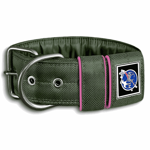 COLEIRA LISA 5cm militar detalhe em rosa