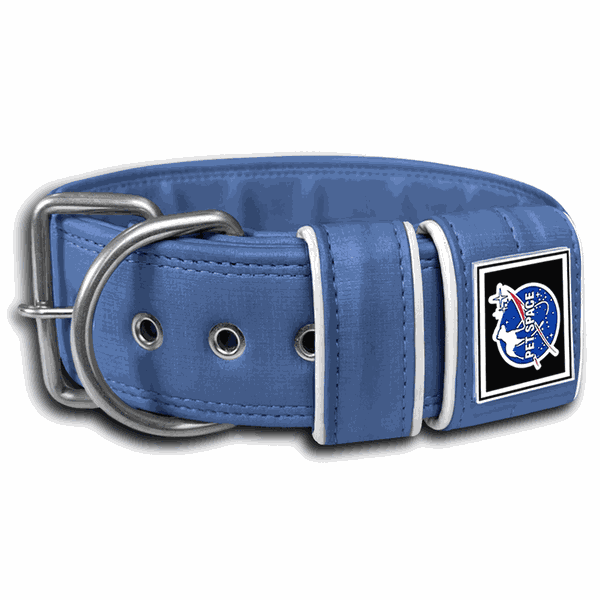 COLEIRA LISA 5cm azul