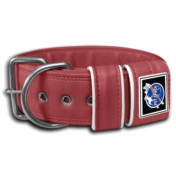 COLEIRA LISA 5cm bordô