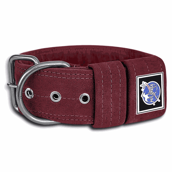 COLEIRA LISA 5cm camurça vinho