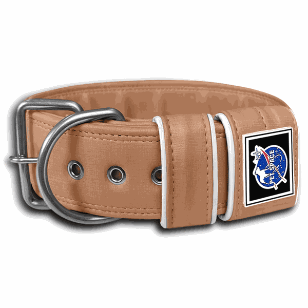 COLEIRA LISA 5cm cobre