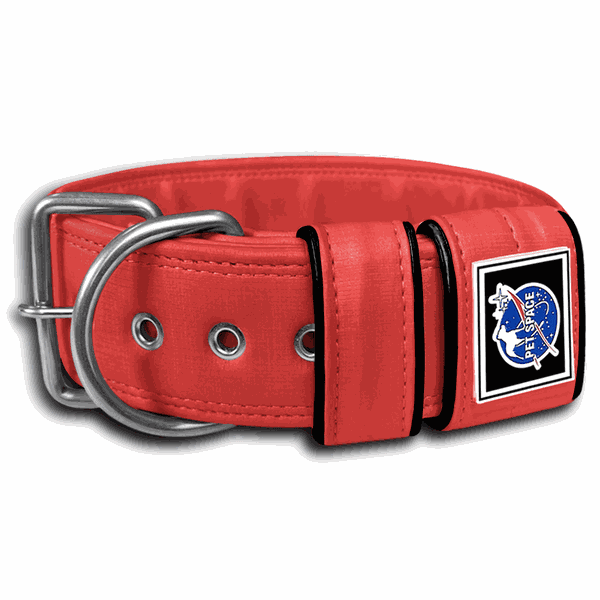 COLEIRA LISA 5cm vermelha