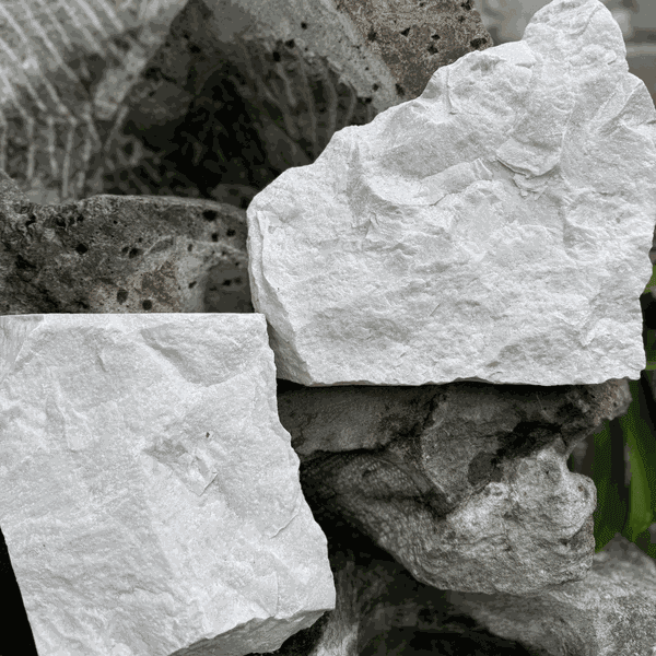 Moledo Carrara Paraná