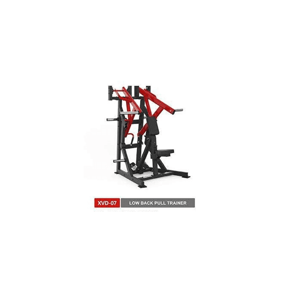 Low Back Pull Trainer - Line - XVD