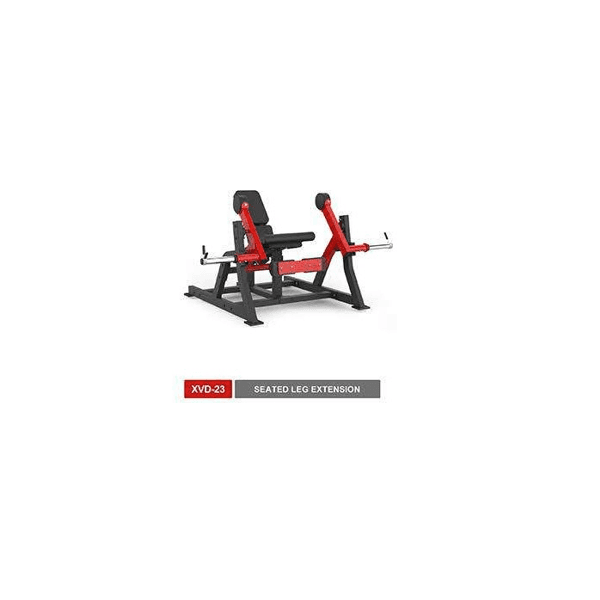 Seated Leg Extension - Line - XVD