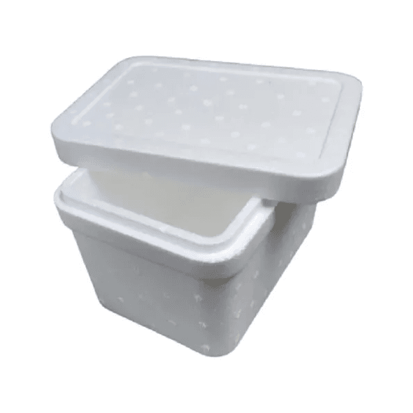 CAIXA ISOPOR 22x14x10 2000 G - PCTE 10 UNID