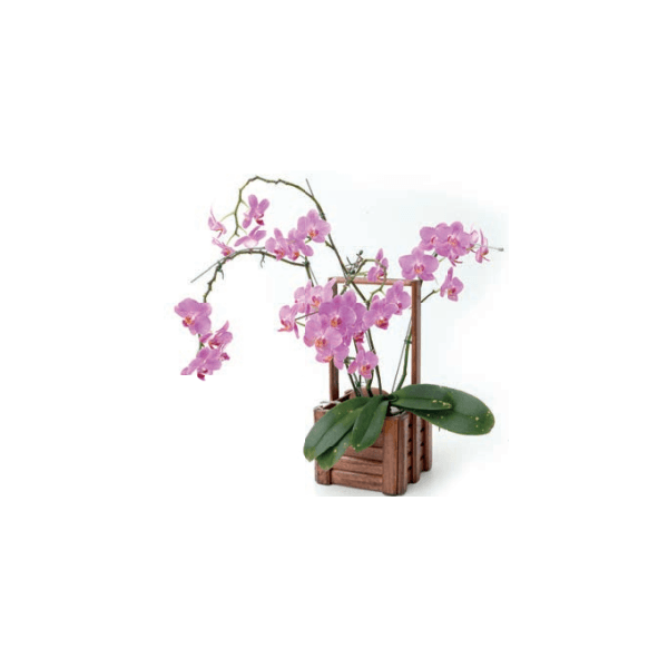 Cesta De Madeira Gg 40x19x19 Cm