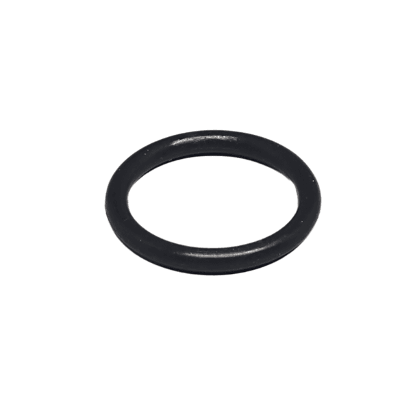 Anel Oring Parker 2014