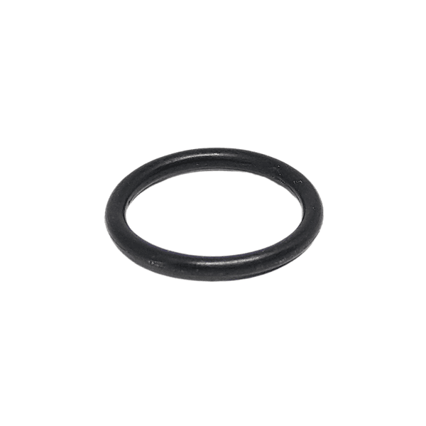 Anel Oring Parker 2015 (14,00 X 17,56)