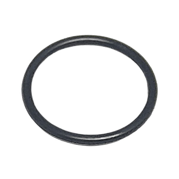 Anel Oring Parker 2018 (18,77 X 22,33)