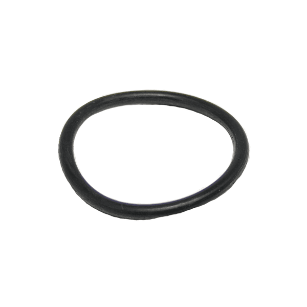 Anel Oring Parker 2019 (20,35 X 23,91)