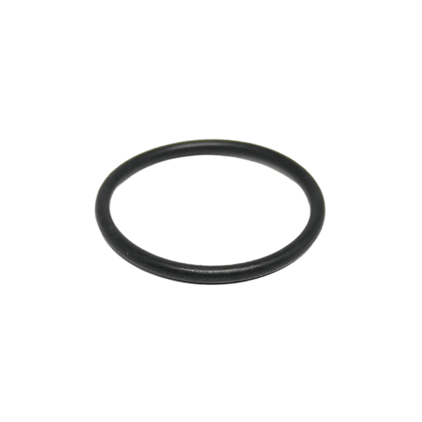 Anel Oring Parker 2020 (21,95 X 25,51)