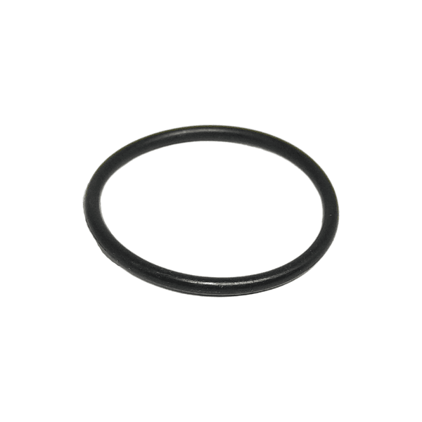 Anel Oring Parker 2021 (23,52 X 27,08)