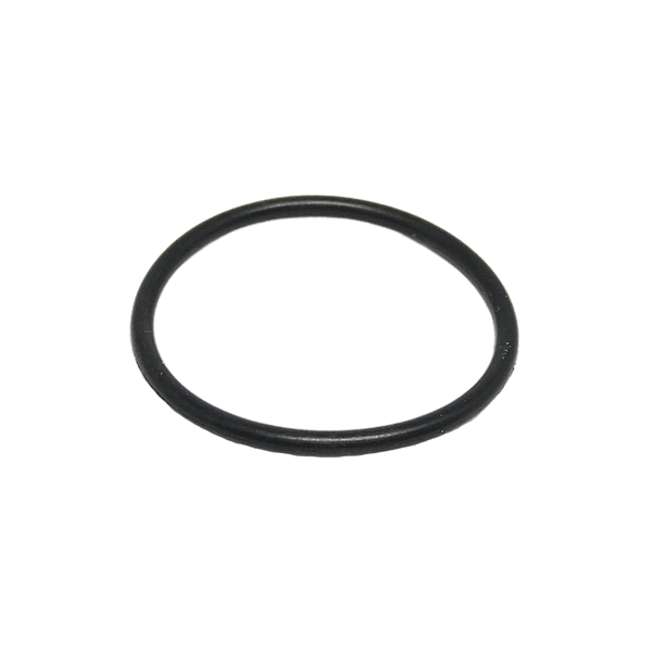 Anel Oring Parker 2022 (25,12 X 28,68)