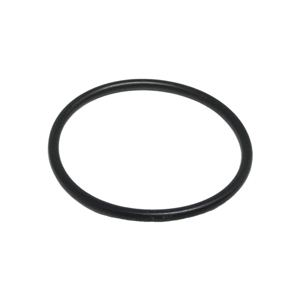 Anel Oring Parker 2024 (28,30 X 31,86)