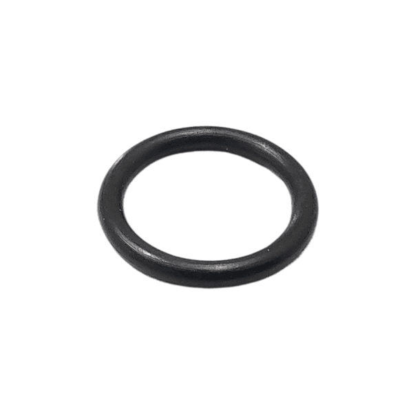 Anel Oring Parker 2013