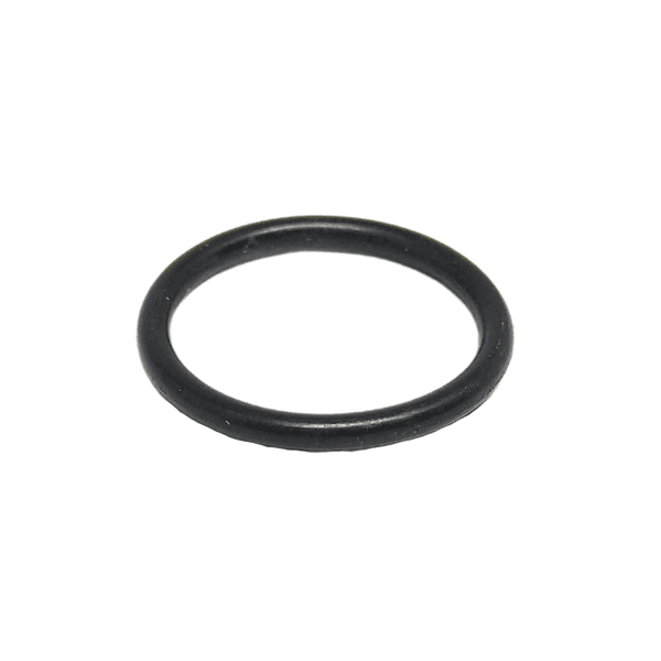 Anel Oring Parker 2016 (15,60 X 19,16)