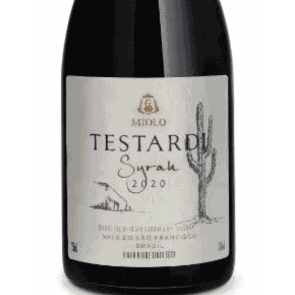 TESTARDI SYRAH 2022