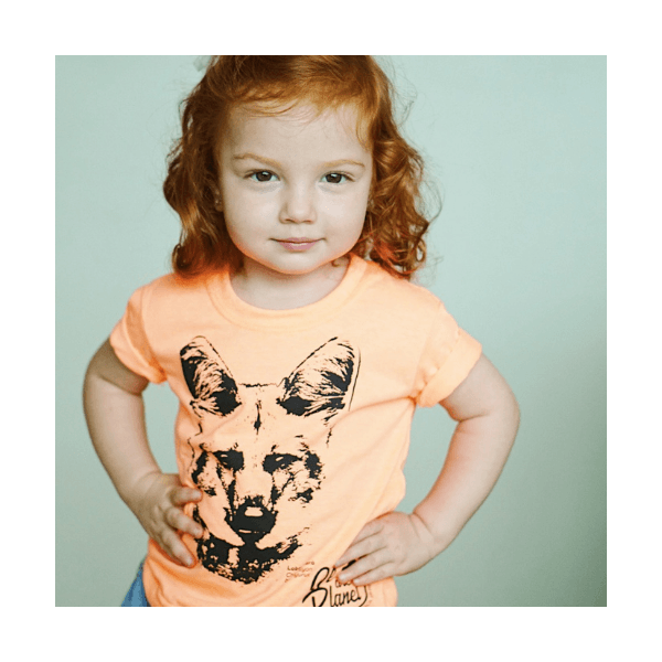 Coleção Infantil - Lobo Guará