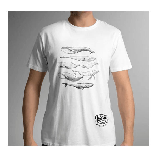 Camiseta Masculina Cetaceos
