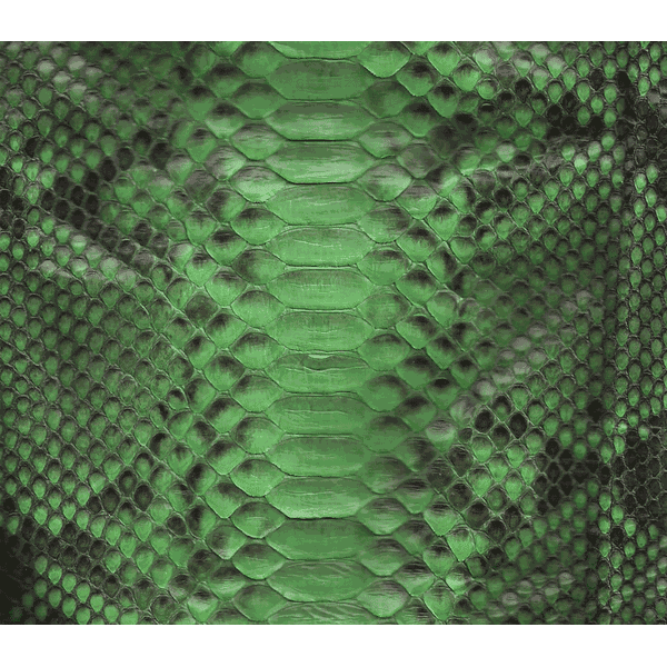 Couro de Python Back Cut 3,35 x 30 Verde