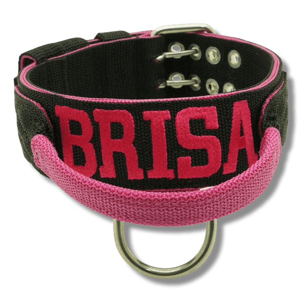 Coleira Para Cachorro Com Alça Personalizada (preto e pink) 