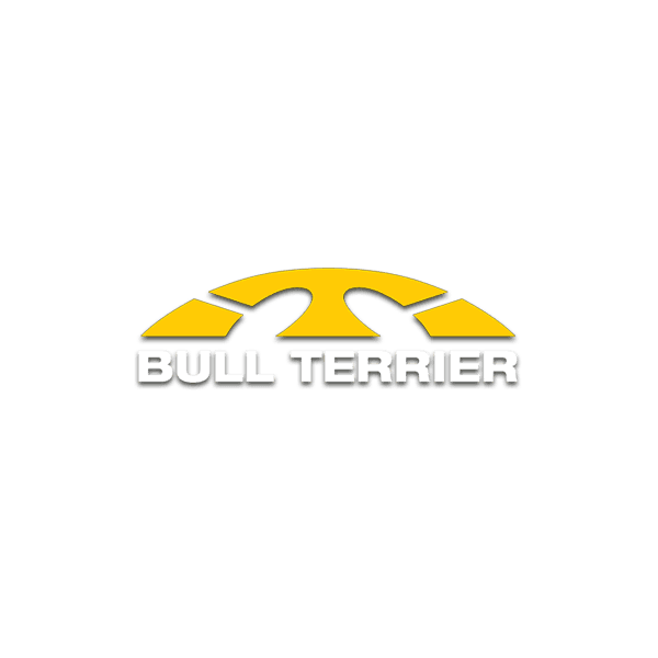 bull terrier masculino promoção