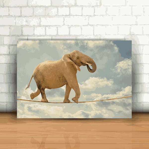 Placa Decorativa - Elefante Corda bamba