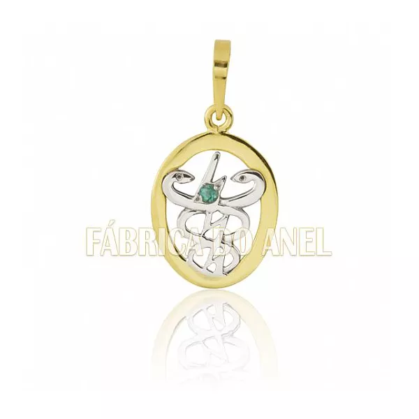 Pingente De Formatura De Fisioterapia Em Ouro Amarelo 18k 0,750 P-26