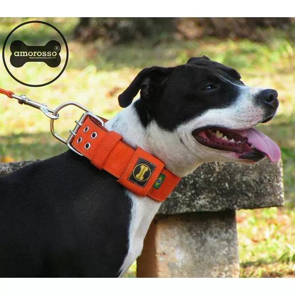  Coleira Para Cachorro Amorosso (laranja e preto)