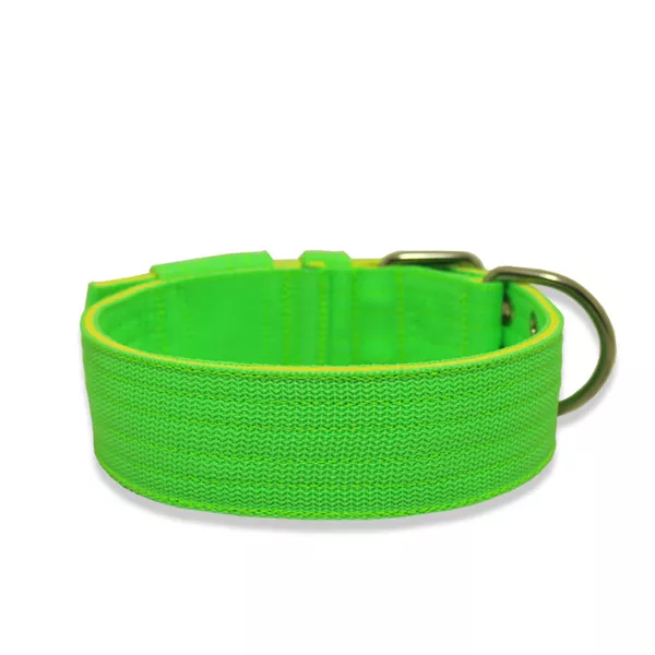 Coleira Para Cachorro Amorosso Verde Flúor e Amarelo Fluor