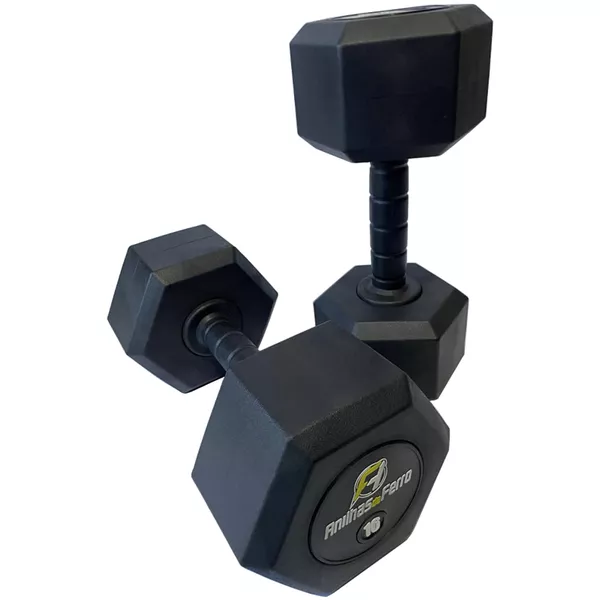 Dumbell Sx Injetado - Monobloco 24 Kg - Pegada Injetada