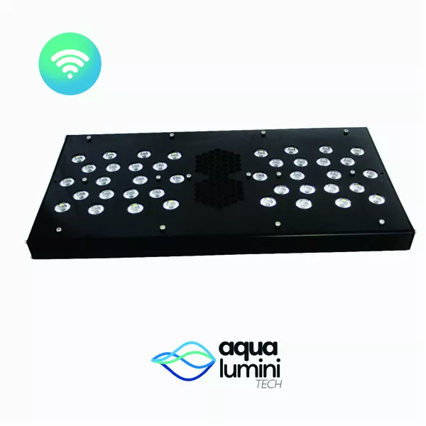 Solarium Marine 40cm Wi-fi