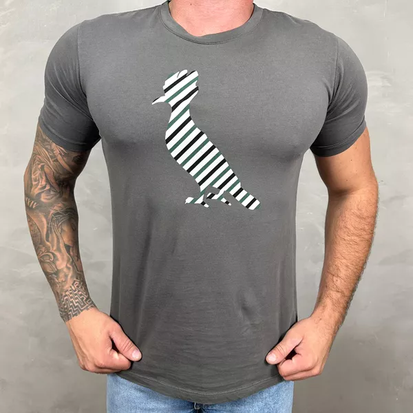 Camiseta RSV Cinza DFC ⭐