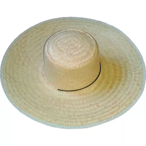 CHAPEU PALHA GROSSA SIMPLES COM ORLA PLASTICA E BARBICACHO ABA