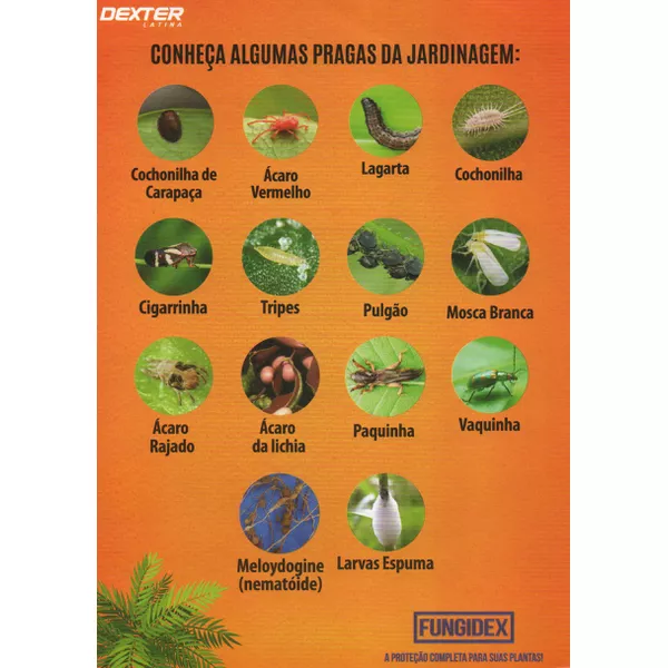 Laboraves
