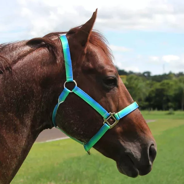 Cabresto para Cavalo Nylon Estampado Boots Horse 3906