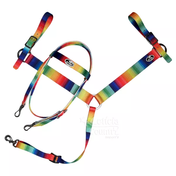 Conjunto Cabeçada e Peiteira Boots Horse Arco Íris