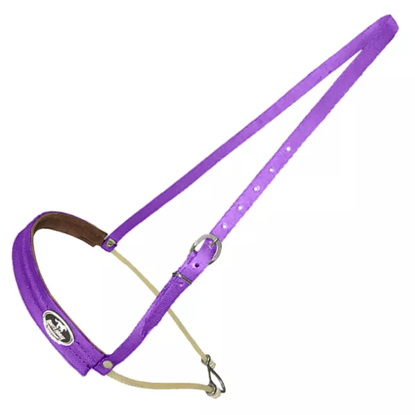 Gamarra de Nylon e uma Peia Boots Horse Roxa 